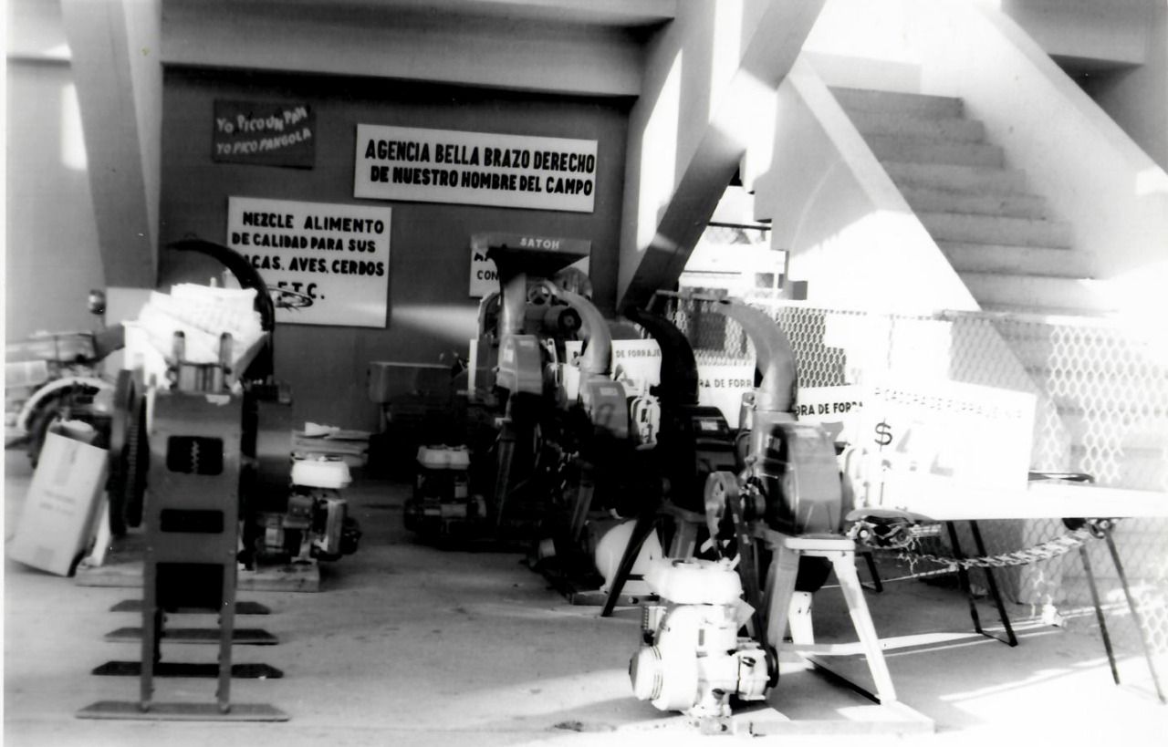 Exhibicion feria ganadera 