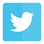 icon-twitter